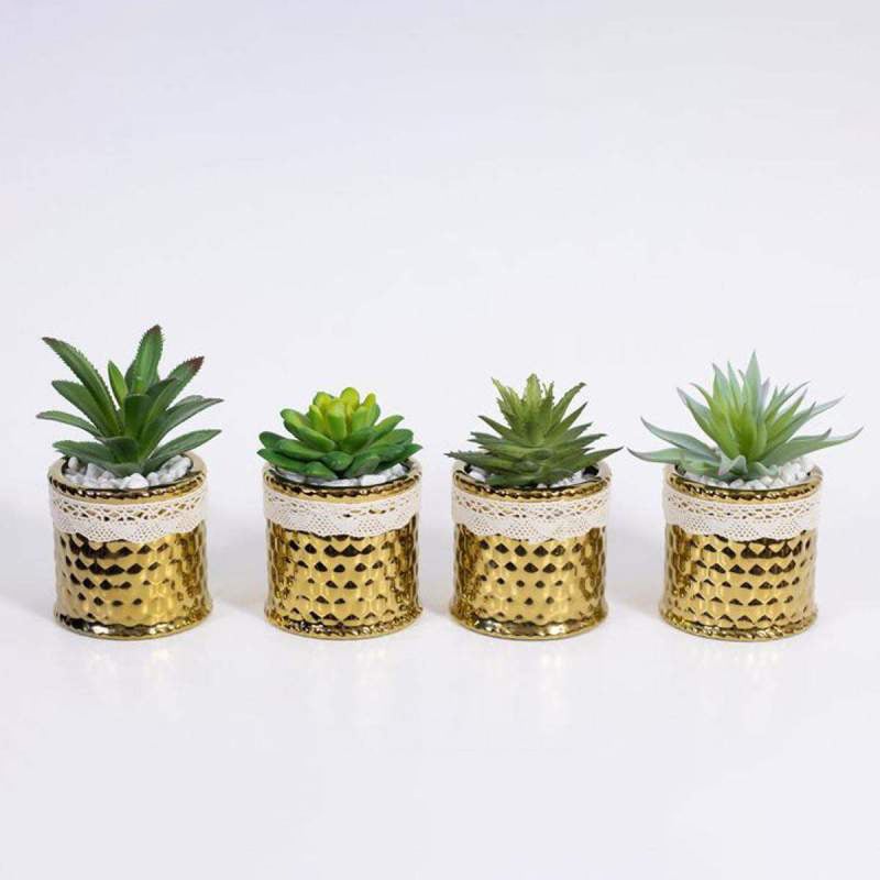 Picture of Golden Color Ceramic Type Pot With Artificial Succulent Gold
