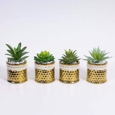 Picture of Golden Color Ceramic Type Pot With Artificial Succulent Gold