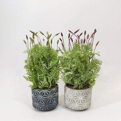 Picture of 1pcs Star Design Cement Pot with Artificial Plant Arrangemnt Grey