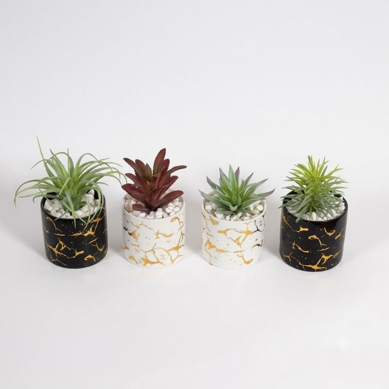 Picture of Moulticolour Ceramic Type Pot With Artificial Succulent Multicolor