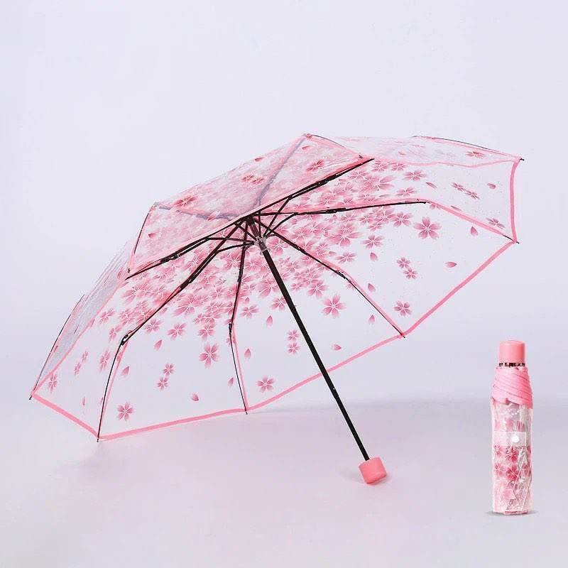 Picture of Transparent Umbrella for Women Fashionable Clear Umbrella for Men Transparent Windproof Umbrella for All Seasons 