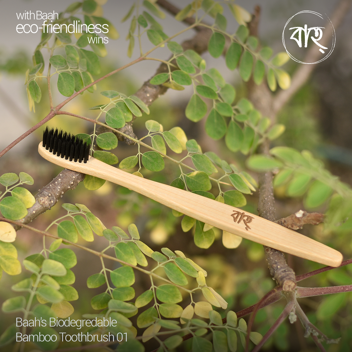 Picture of Baah Store Ltd  Biodegredable Bamboo Toothbrush 01-natural & Black
