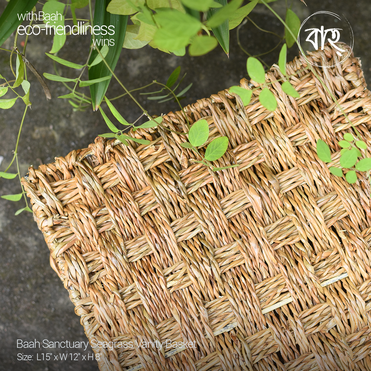 Picture of Baah Store Ltd  Sanctuary Seagrass Vanity Basket-natural