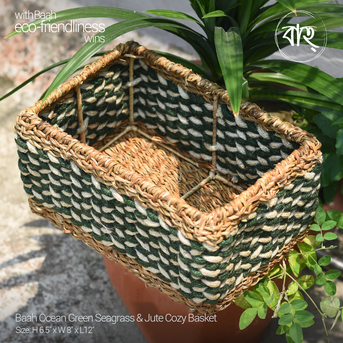 Picture of Baah Store Ltd  Ocean Green Seagrass & Jute Cozy Basket-Green