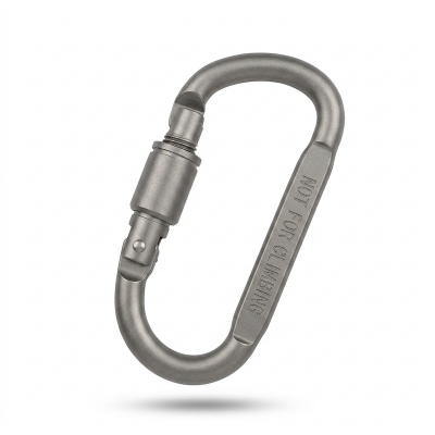 Picture of Aluminum alloy D Ring Clip D Shape Super Strong keyring Keychain Clip for Outdoor Camping