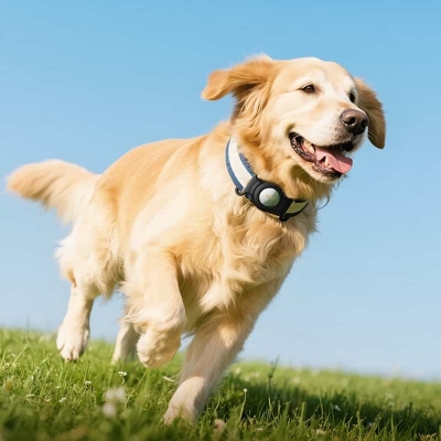 Picture of Hoco E91C Smart Wireless Pet Tracker Tag Works With Apple Find My