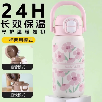 Picture of 500ml Stainless Steel Insulated Travel Bottle with Dual Drinking Lid – Multicolor