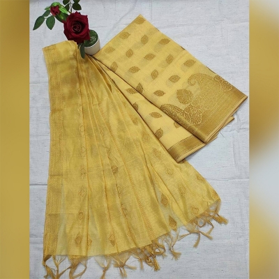 Picture of Women's Kameez and Katan Orna Party Set – 2 Pieces