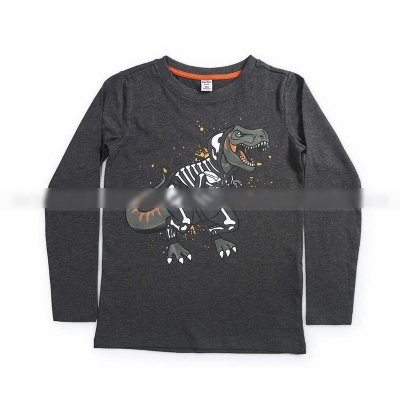 Picture of Boys' Export-Quality Long-Sleeve Cotton T-Shirt