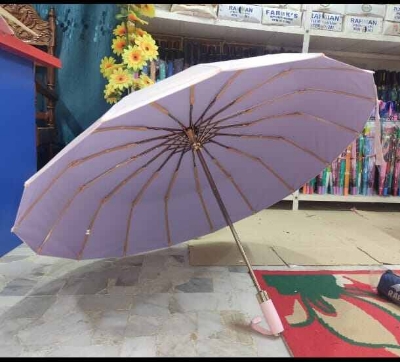 Picture of Premium 16 Ribs Umbrella