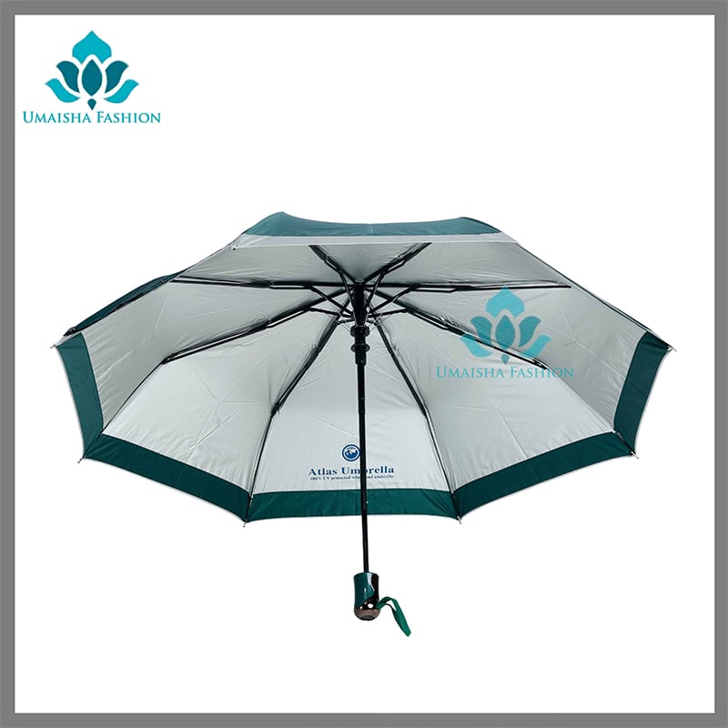 Picture of Auto Open Fashionable World Class Umbrella- 8 sikh - Green - Int: One size
