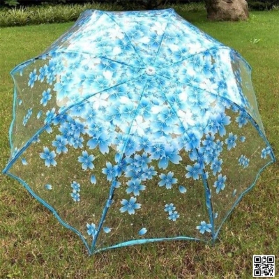 Picture of Transparent Umbrella ট্রান্সপারেন্ট ছাতা