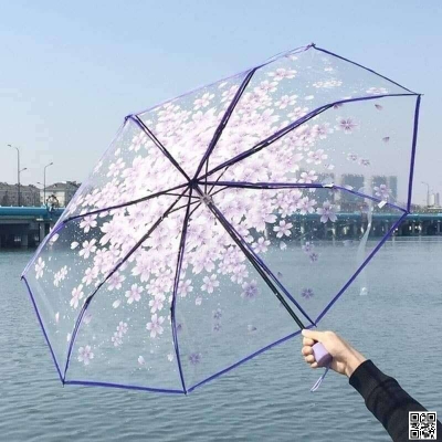 Picture of Transparent Umbrella ট্রান্সপারেন্ট ছাতা