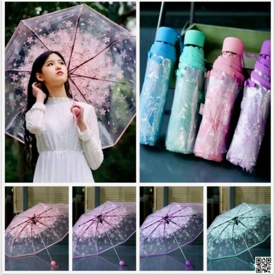 Picture of Transparent Umbrella, Transparent Clear Umbrella, Transparent Clear Cherry Blossom Umbrella, Foldable, UV Sun & Rain Protection