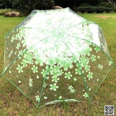 Picture of Transparent Umbrella ট্রান্সপারেন্ট ছাতা
