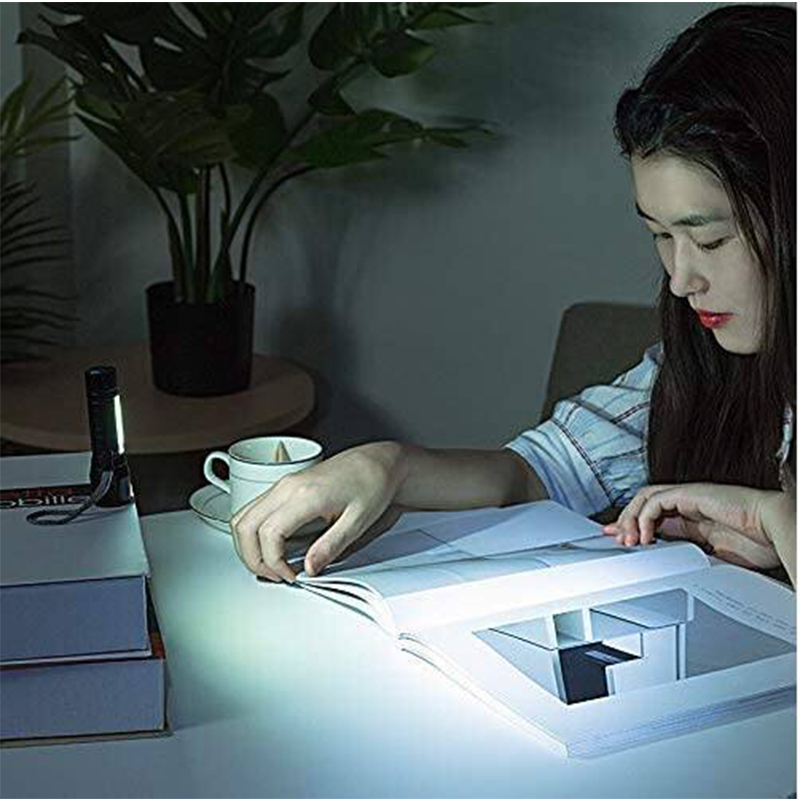 Picture of LED Flashlight Small Portable Lamp Pocket Torch for Camping, Fishing (Black, Multicolour)Pocket Size Mini Aluminum - সাইকেল