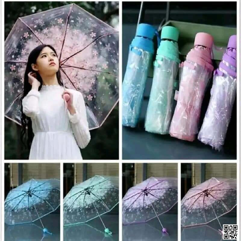 Picture of Transparent Umbrella ট্রান্সপারেন্ট ছাতা