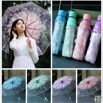 Picture of Transparent Umbrella ট্রান্সপারেন্ট ছাতা