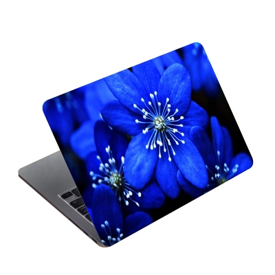 Picture of Beautiful Flower Blue Premium Laptop Sticker AR-5327 - Multicolor