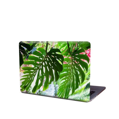 Picture of Beautiful Leaf Photography  Removeable Laptop Sticker for Back Side Laptop skin for any kind of Laptop - Multicolor