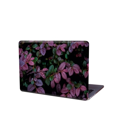 Picture of Green Leaf Photography Removeable Laptop Sticker for Back Side Laptop skin for any kind of Laptop - Multicolor