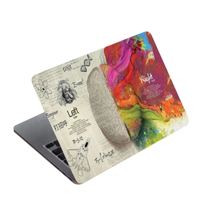 Picture of Brain Left‑Right Laptop Sticker - Multicolor