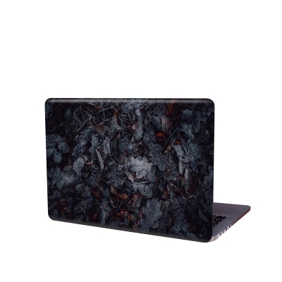 Picture of Dry Leaf Effect Photography Removeable Laptop Sticker for Back Side Laptop skin for any kind of Laptop - Multicolor