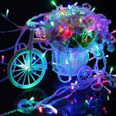 Picture of Decorative Fairy Lights Multicolor