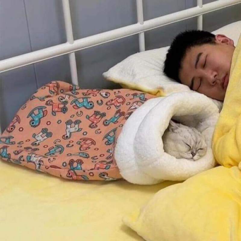Picture of Cat Sleeping Bag – Keep Your Cat Warm and Cozy This-Winter