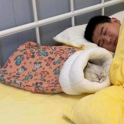 Picture of Cat Sleeping Bag – Keep Your Cat Warm and Cozy This-Winter