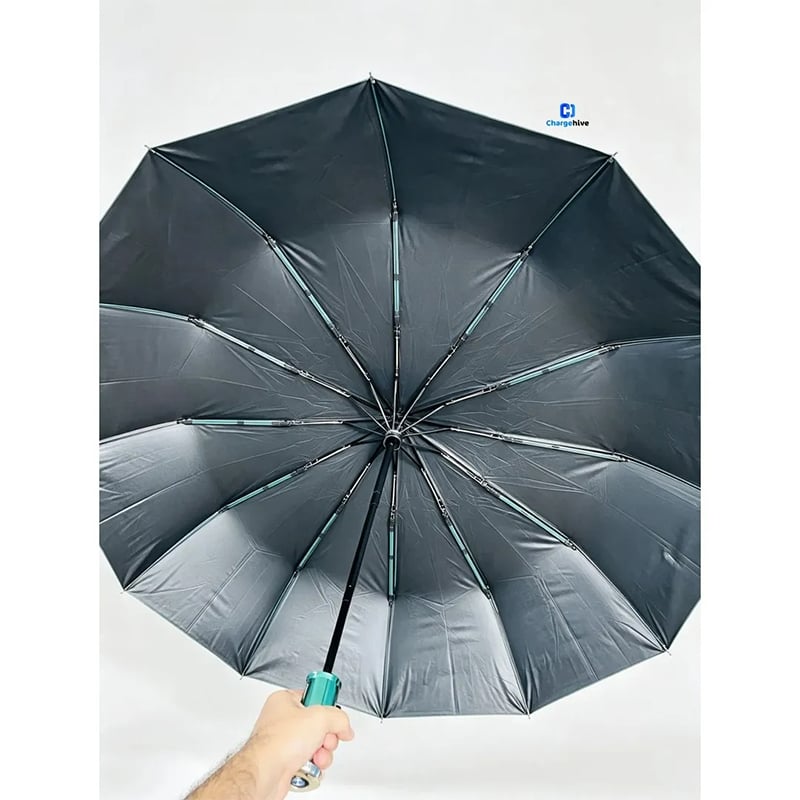 Picture of BMW Umbrella - 12 ribs