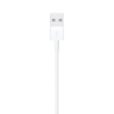 Picture of Apple USB to Lightning cable