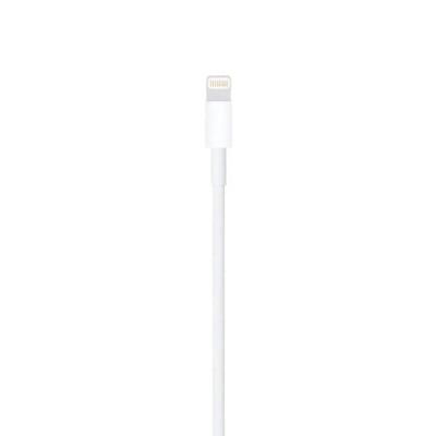 Picture of Apple USB to Lightning cable