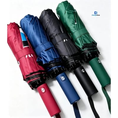 Picture of BMW Umbrella - 16 ribs