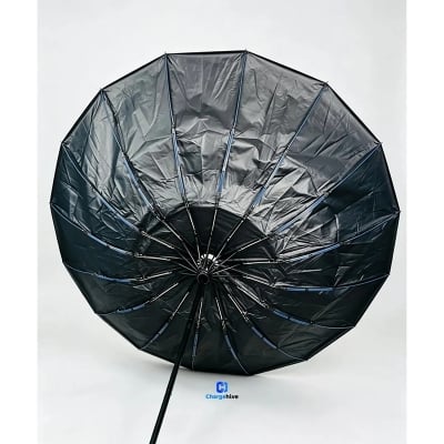 Picture of BMW Umbrella - 16 ribs