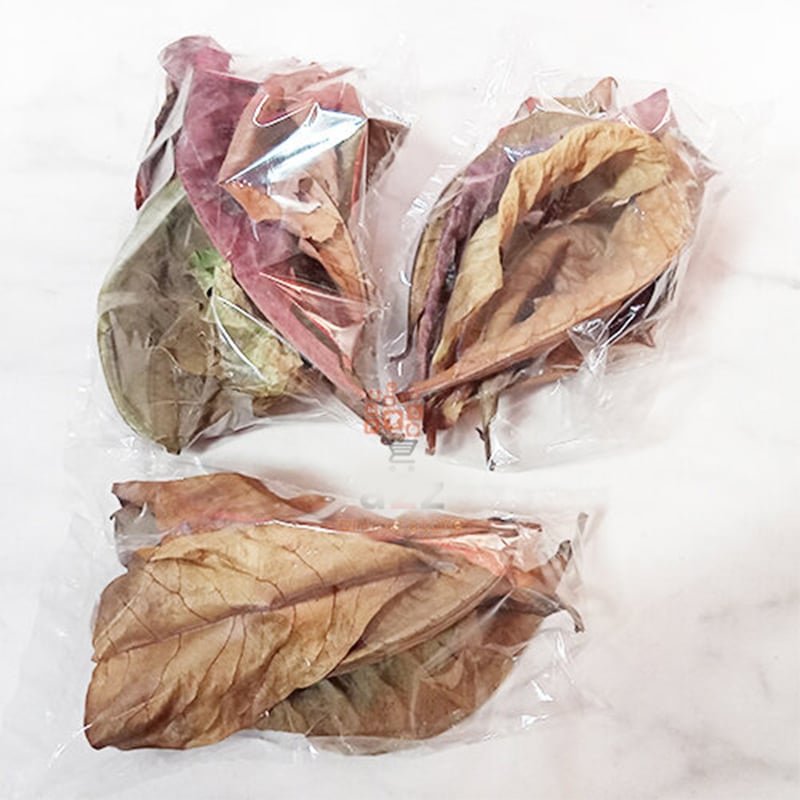 Picture of Kath Badam Pata for Fighter Fish Breeding Tank  Almond Leaf for PH Maintain-25 gm