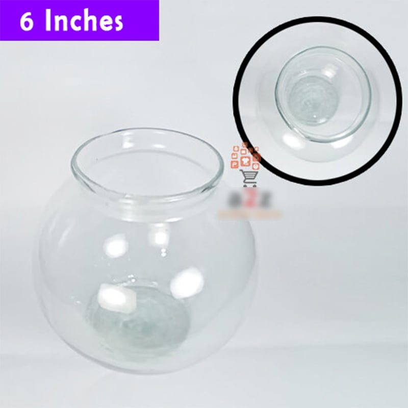 Picture of 6 inches Fish Glass Bowl or Fish Jar  Deshi Jar for Small Fish  Aquarium Bangla jar-White