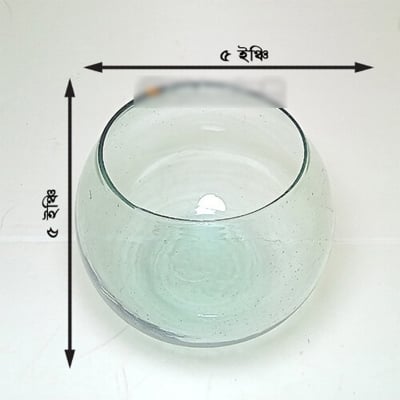 Picture of 5 Inch Bangladeshi Transparent Glass Bowl | Five Inches Fish Aquarium Jar-White
