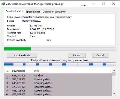 Picture of Internet Downlaod Manager 1 year and Lifetime Subscriptions 100% Genuine