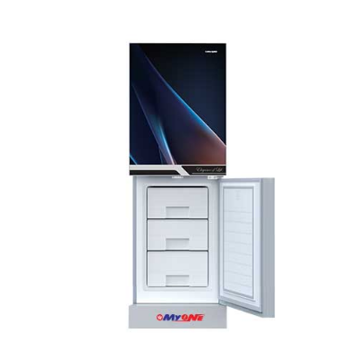Picture of MYONE 256 Liter Frost Colorful Light Black Match Bottom Mount Refrigerator (MY-2E6G)
