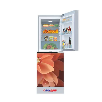 Picture of MYONE 256 Liter Frost Dahlia Black Match Bottom Mount Refrigerator (MY-2E6G)