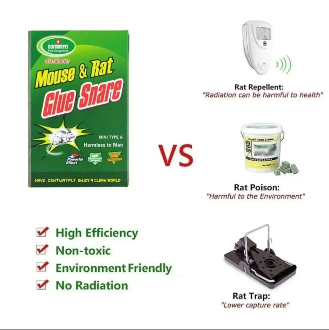 Picture of Mouse Rat Bond Traps Green Killer China-5pcs Black Gum