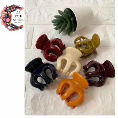 Picture of Hair clip Thai Kakra for women 4 pcs High Quality-Multicolor