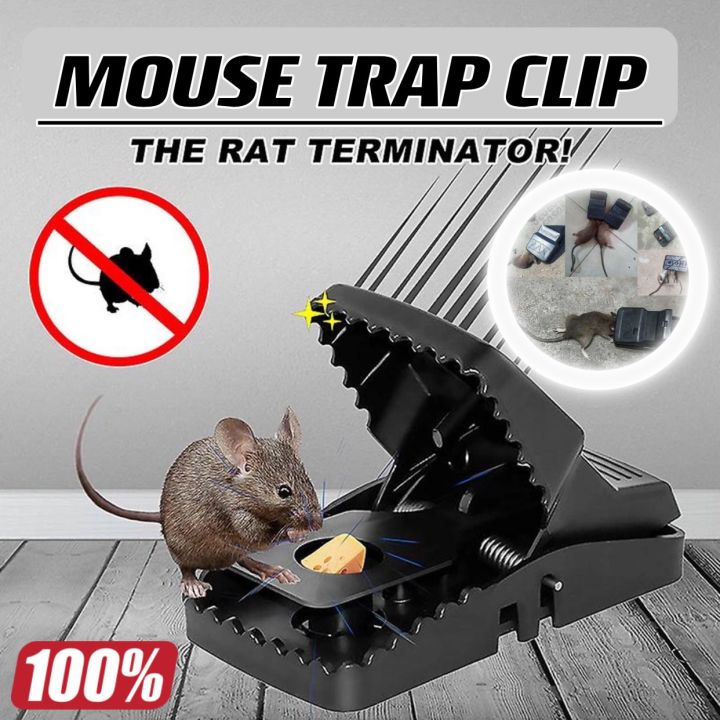 Picture of Rat Traps For Mouae Killer Traps For Indoor And Outdoor- 1 pis