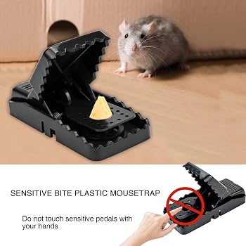 Picture of Rat Traps For Mouae Killer Traps For Indoor And Outdoor- 1 pis