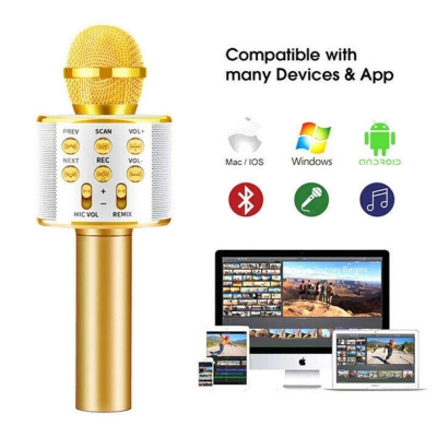 Picture of Wireless Bluetooth Microphone Speaker Karaoke WS-858