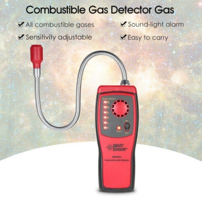 Picture of Smart Sensor Combustible Gas Detector AS8800L-Multicolor