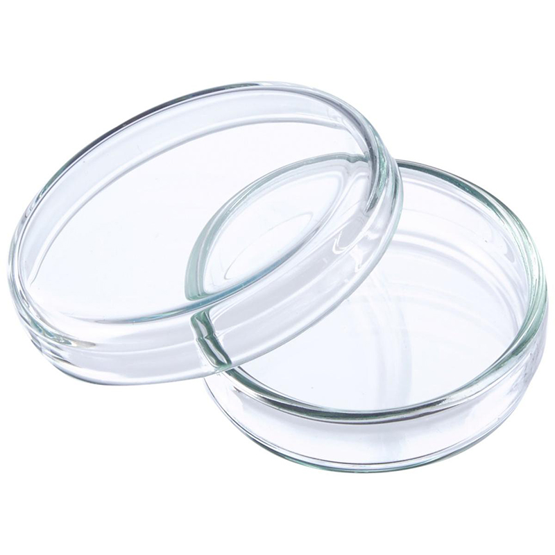 Picture of Glass Petri Dish 60 mm for Lab Use