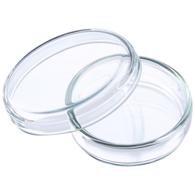 Picture of Glass Petri Dish 60 mm for Lab Use