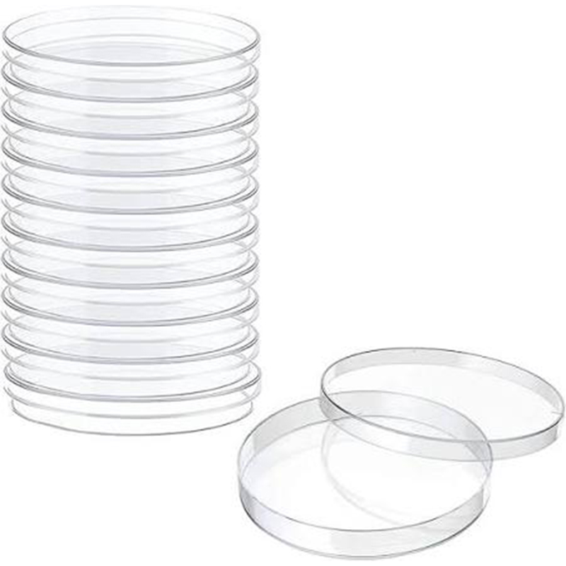 Picture of Plastic Petri Dish 75mm Polylab for Lab Use